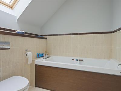 Picture 25